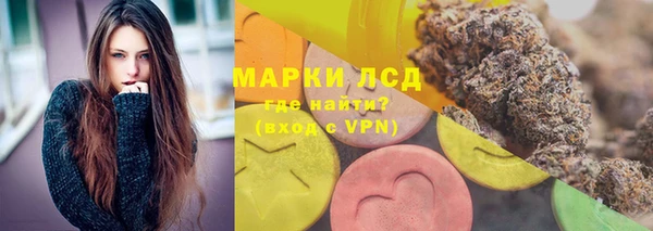 индика Белокуриха