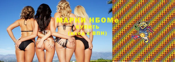 индика Белокуриха