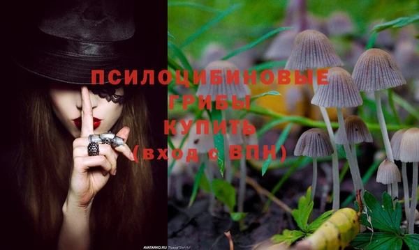 a pvp Беломорск
