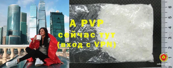 индика Белоозёрский
