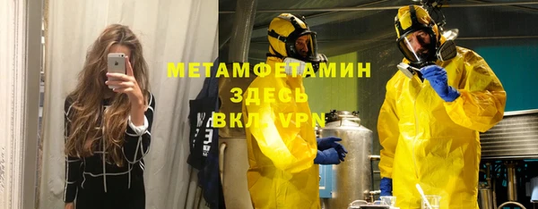 индика Белокуриха