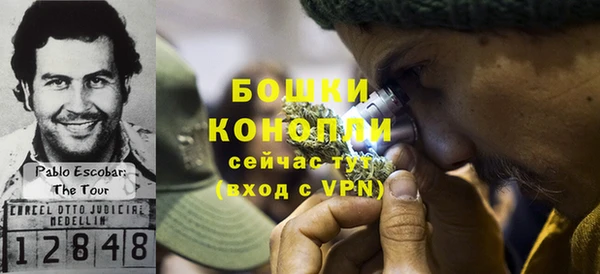 индика Белоозёрский