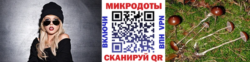 Галлюциногенные грибы GOLDEN TEACHER  Пионерский 