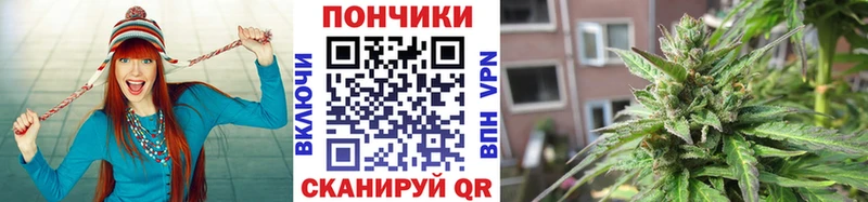 Канабис ГИДРОПОН  наркотики  Пионерский 